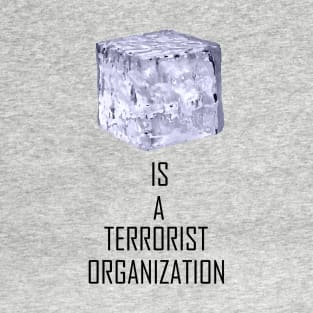 ICE Is A Terrorist Organization T-Shirt